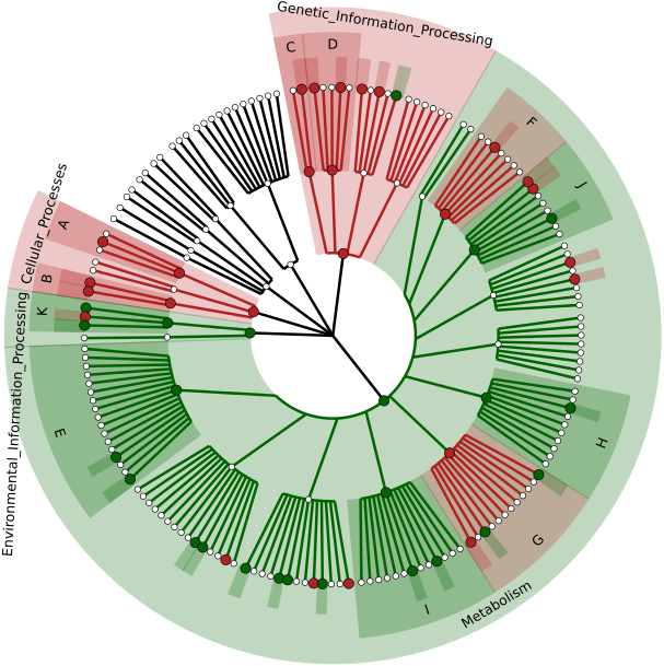 whole metagenomic shotgun cladogram biomarkers